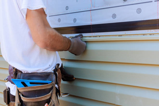 Affordable Siding Replacement solutions in Lake Panasoffkee, FL